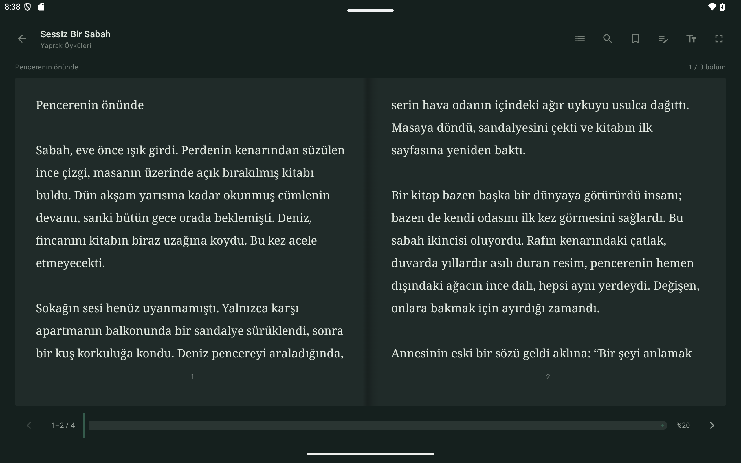 Yaprak gece teması